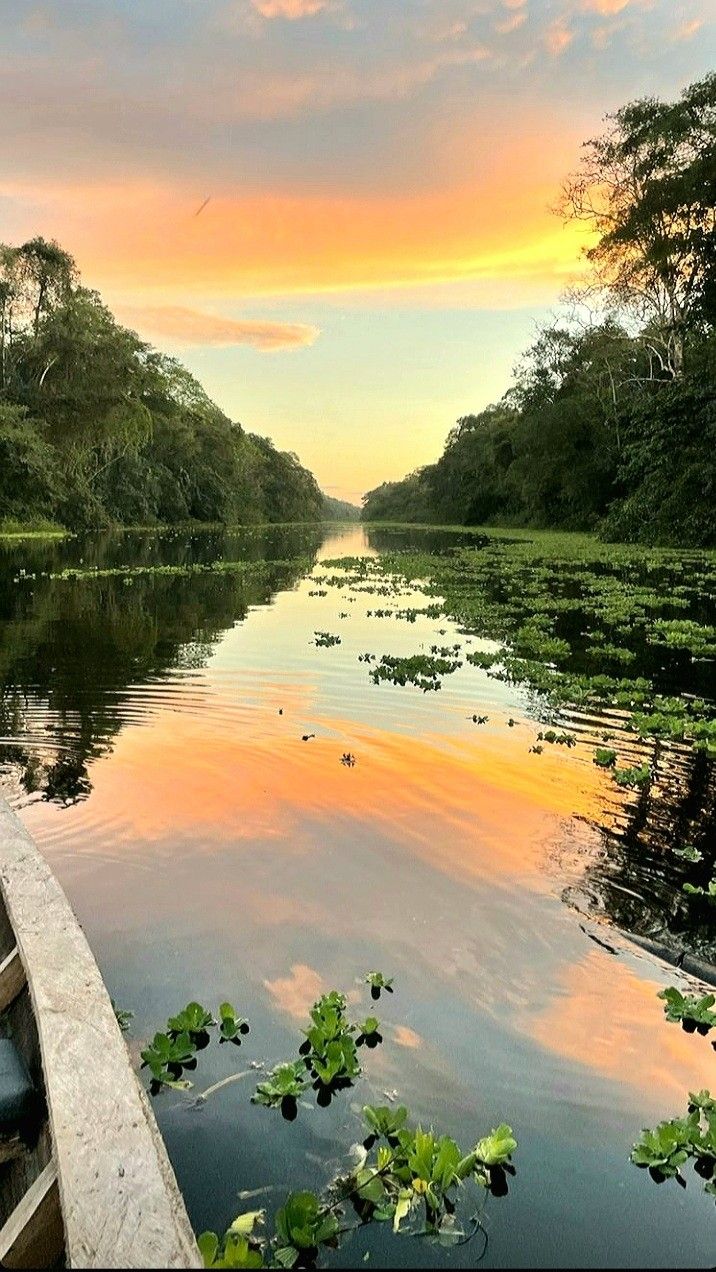 Amazonas (Leticia)